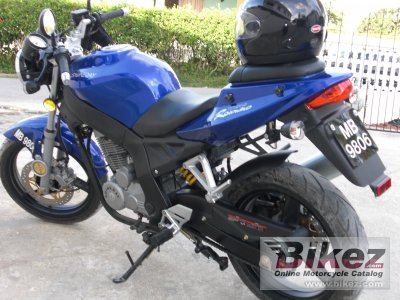2008 Shineray XY250-5 photo